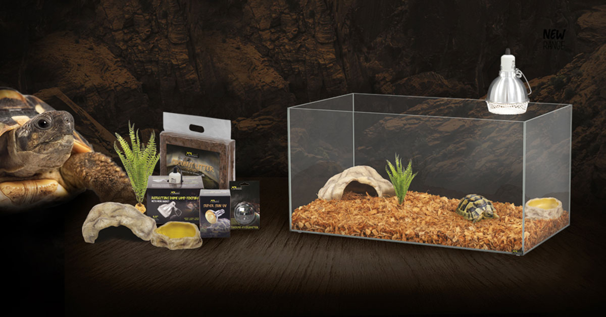 Meilleurs terrariums pour reptiles et amphibiens